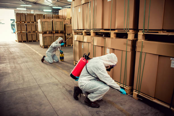 Best Emergency Pest Control  in Loop, PA