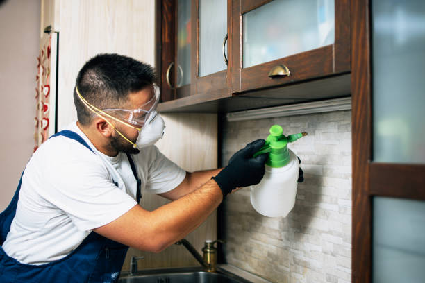 Reliable Loop, PA Pest Control Solutions